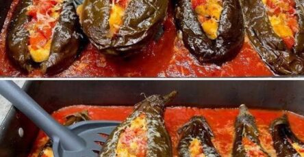 Stuffed Eggplant Parm