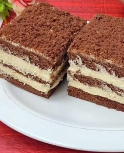 Chocolate and Raspberry Cake