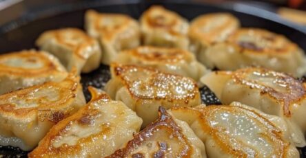 Pan-Fried Chicken Dumplings