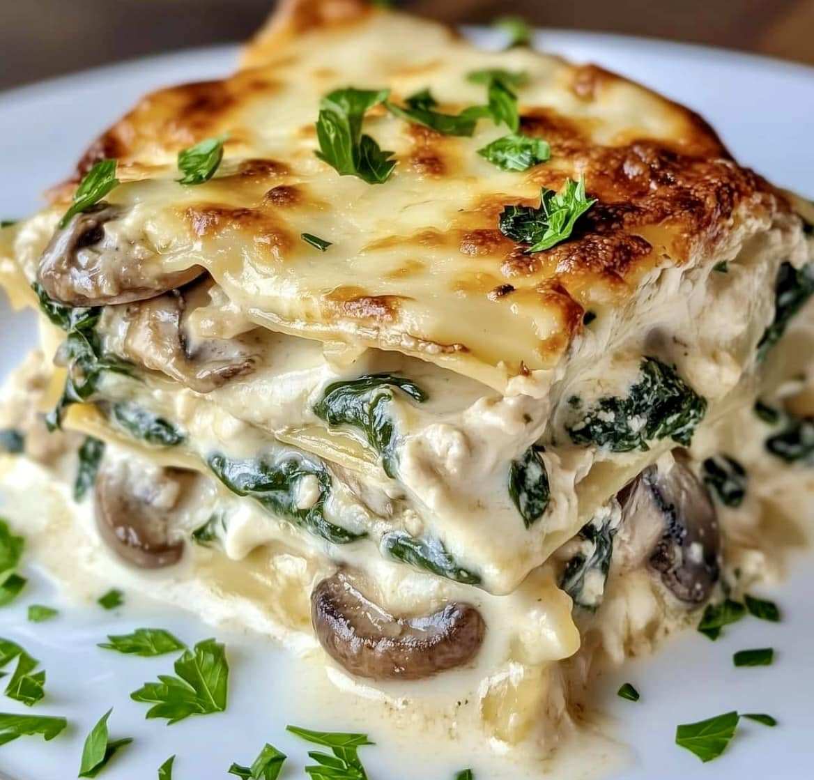 Chicken, Mushroom & Spinach Lasagna with Creamy White Sauce