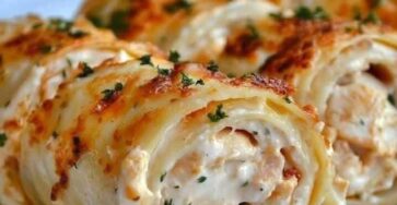 Chicken Alfredo Lasagna Rolls