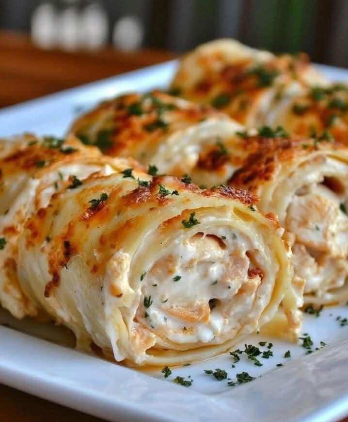 Chicken Alfredo Lasagna Rolls